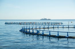 aquaculture aquaculture